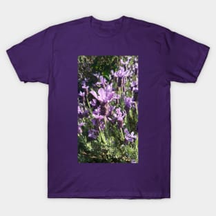 Lavender Flower T-Shirt